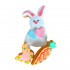 EN Dolci Impronte - Easter - Pack Carrot Bunny Butterfly 104g