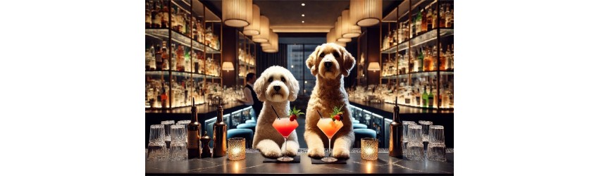 Drinks for Dogs